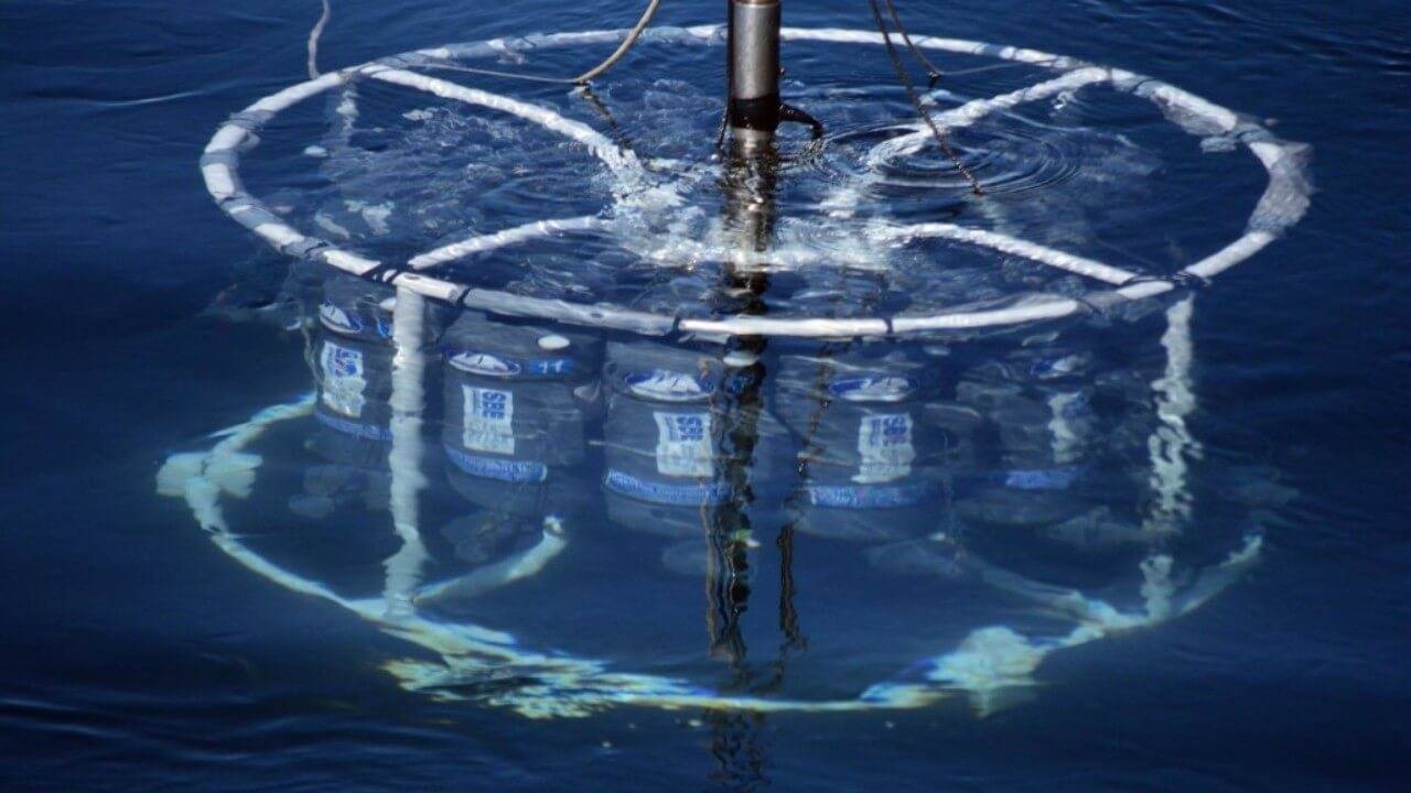 Understanding Water Conductivity: What You Need to Know Effect On Health