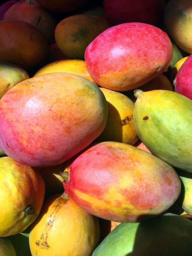 Most Mango Producing Countries in the World